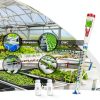 GIDIGI Hydroponics EC/PPM Digital Meter GX-EC01 Professional Tester-1